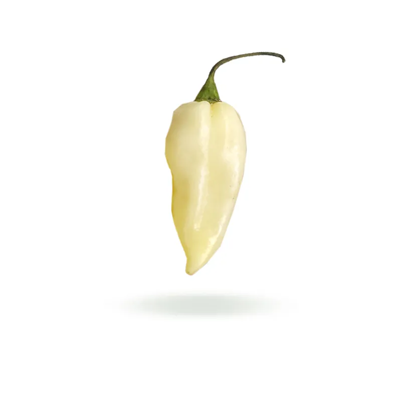 Bhut Jolokia White semínka