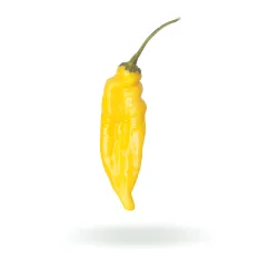 Aji Lemon Drop semienka