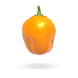 Rocoto Orange semínka