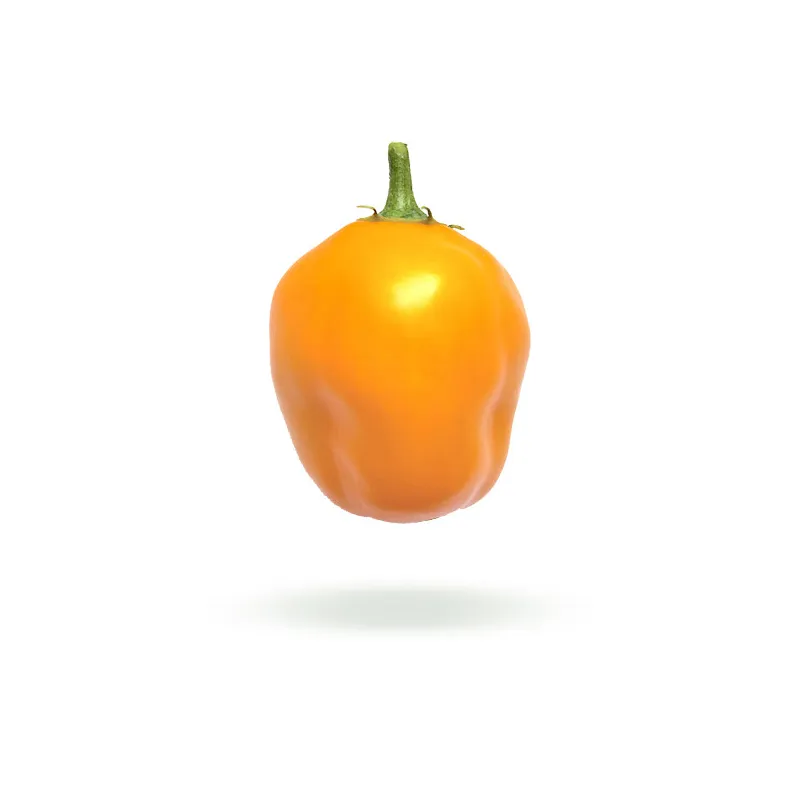 Rocoto Orange semínka