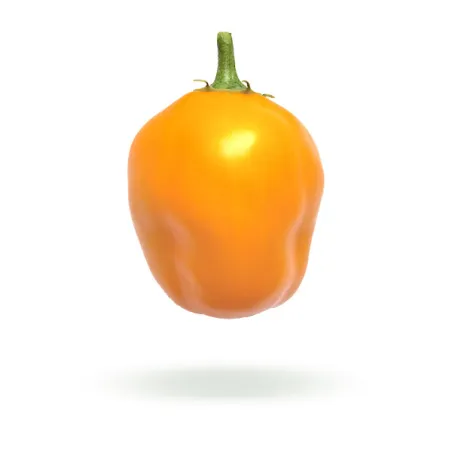 Rocoto Orange semínka