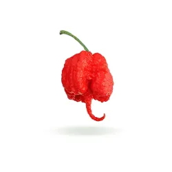 Carolina Reaper seeds